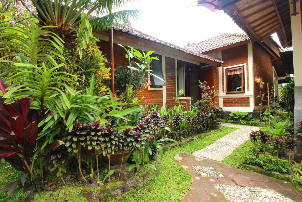 Made Homestay Munduk Exterior foto