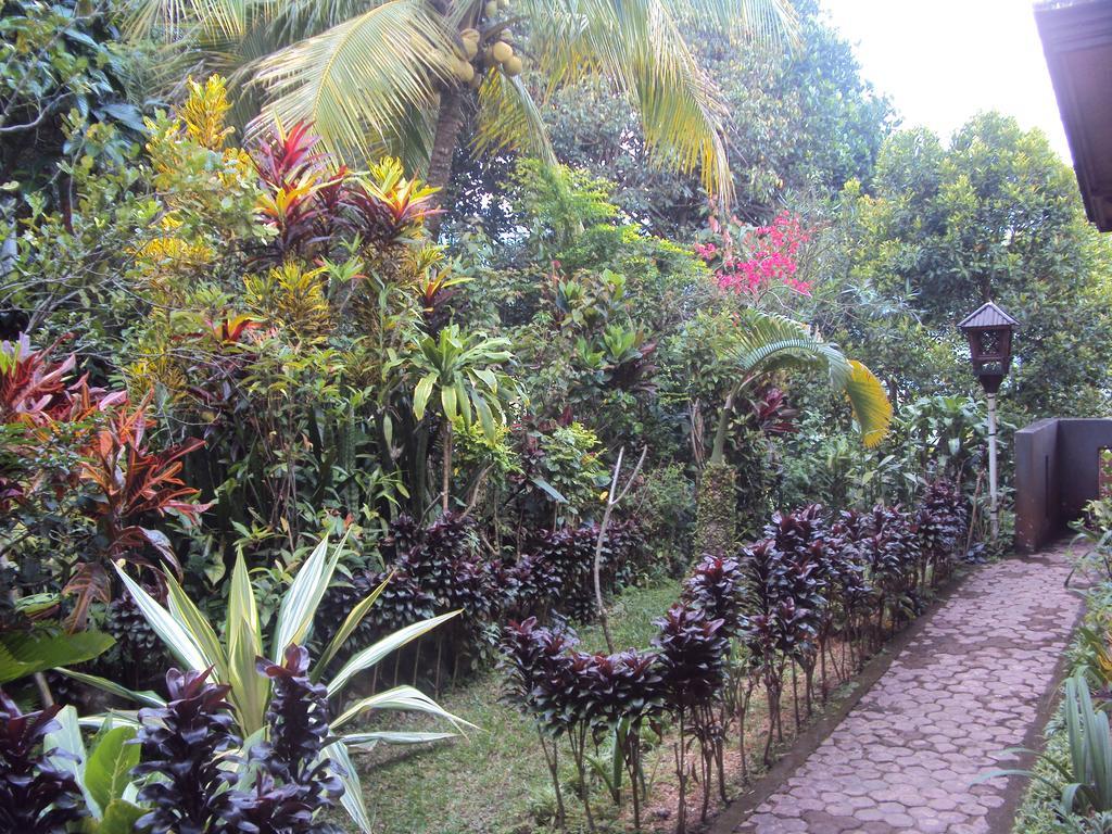 Made Homestay Munduk Exterior foto